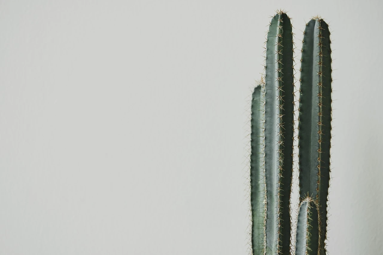 Не жди — сходи к врачу!