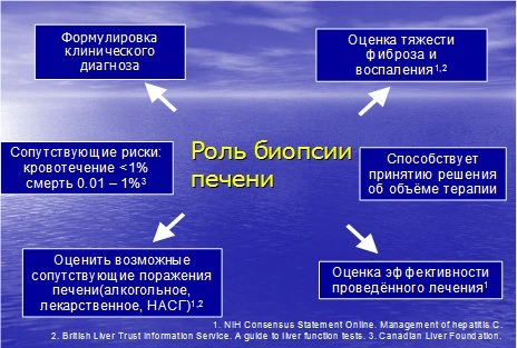 Вы точно человек?